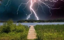 Loài cây sét đánh không chết còn sống tốt