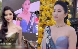 Một nữ blogger bị 'ném đá' vì đăng clip Lưu Diệc Phi 'mũm mĩm'