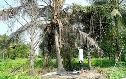 Chi tiền tỉ mua đất ở quê để dưỡng già, bị hàng xóm rào bít đường vào ra