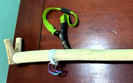 Hai cháu nhỏ dùng ná cao su bắn vỡ kính thoát hiểm xe khách