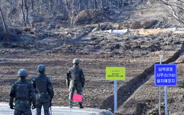 Lính Triều Tiên vượt ranh giới phân định, Hàn Quốc nổ súng cảnh cáo