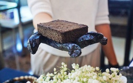 Du khách thích thú tái chế bã cà phê làm than đốt