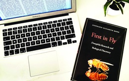 Giải oan cho nghiên cứu "lạ"