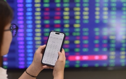 Bắt đáy 1 triệu cổ phiếu của Hòa Phát giá sàn, hoa hậu 'chứng khoán' chi bao nhiêu?