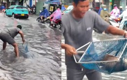 Bắt được cá khủng trên đường sau cơn mưa lớn