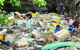 Thanh niên mướt mồ hôi vớt 20 tấn rác dồn ứ trên kênh Hy Vọng
