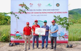 Dai-ichi Life Việt Nam góp trồng hơn 10.000 cây xanh tại rừng phòng hộ Đồng Xuân, Phú Yên