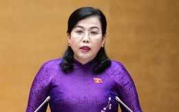 Trình luật rút ngắn quy trình, thủ tục bầu cử đại biểu Quốc hội, HĐND