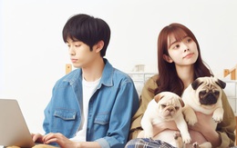 Khuyến sinh, cần bài toán lâu dài về giáo dục, y tế, nhà ở