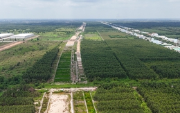 Cỏ xanh um trên nhiều công trường vành đai 3 TP.HCM, nhà thầu nào đang chậm tiến độ?