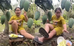 Cười sảng với bé gái hướng dẫn cách ăn xoài