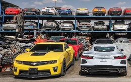 Nhiếp ảnh gia xe 'đứng hình' trước nghĩa địa xe Dubai