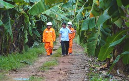 Cuộc thi clip ‘50 năm - Tỏa sáng miền Nam’: Đổi thay ở những ấp cuối cùng có điện lưới quốc gia