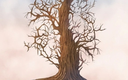 Bạn thấy được bao nhiêu con thỏ trong hình?