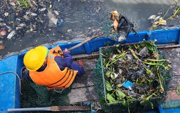 Vớt gần 20 tấn cá chết, lục bình, rác trên kênh Nhiêu Lộc - Thị Nghè sau mưa đầu mùa