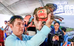 Tìm ‘thí sinh cua’ lớn nhất tại ngày hội cua Cà Mau lần 2