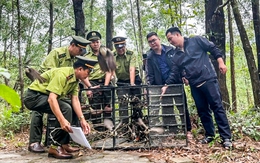 Mang chim đến quán cà phê không có giấy tờ sẽ bị phạt
