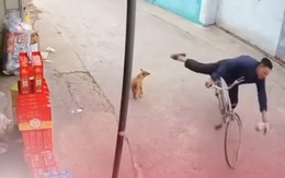 Thanh niên trêu chó ngã sõng soài