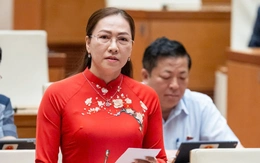 Đại biểu Quốc hội đề xuất hợp pháp hóa làm việc từ xa trong khu vực công