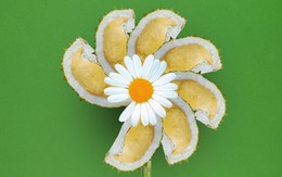 Cõi mạng 'nở hoa cúc' sau tin G-Dragon đến Việt Nam