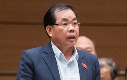 Đại biểu đề xuất HĐND không bầu chức danh chủ tịch UBND