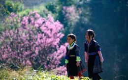 Mù Cang Chải: Vẻ đẹp nguyên sơ của Tây Bắc