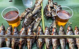 Cá mát: Đặc sản đại ngàn Trường Sơn