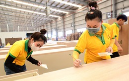 Đón bình thường mới từ 'hưu chiến' thuế quan