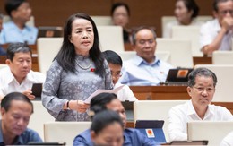 Đại biểu Quốc hội đề nghị giữ quyền chất vấn của đại biểu HĐND với chánh án, viện trưởng