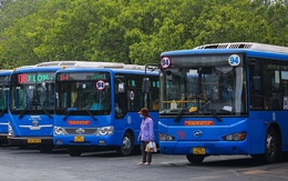 Anh em Tập đoàn Tân Thành Đô muốn đồng loạt 'buông tay' Saigon Bus