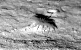 Máy quay hé lộ sinh vật bí ẩn có 24 xúc tu dưới đáy biển