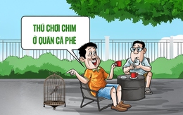 Mang loài chim này ra quán cà phê không cần trình giấy tờ