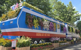 Ngắm muôn sắc hoa lan ở Tao Đàn