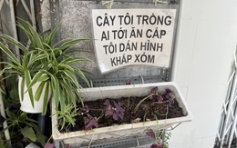 Ảnh vui 16-5: Ăn cây nào rào cây ấy