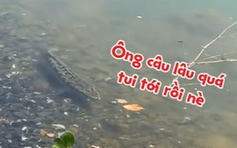 Cá lóc bơi sát bờ tìm cần thủ