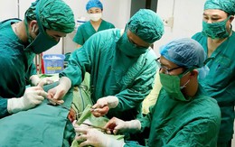 Cành tro dài 20cm nằm trong lồng ngực cụ bà 95 tuổi suốt hai năm