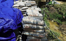 Vụ hàng trăm tấn xi măng để ngoài trời gây hư hỏng: Tạm đình chỉ công tác chủ tịch xã