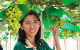 Vườn nho mẫu đơn trĩu quả khiến du khách mê mẩn 'sống ảo'