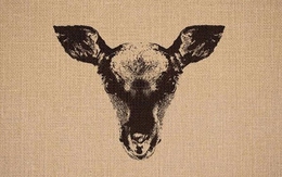 Thử tài tinh mắt: Hải cẩu ẩn giấu ở đâu?