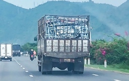 Vụ bán tài sản cưỡng chế ở Nha Trang: Làm rõ trách nhiệm cá nhân sai phạm