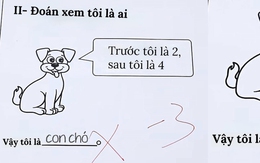 Ảnh vui 18-5: 'Trước tôi là 2, sau tôi là 4, đoán xem tôi là ai?'