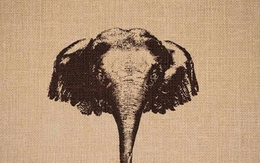 Thử tài tinh mắt: Con vịt ẩn giấu ở đâu?