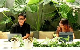 Co-working Việt - điểm đến hấp dẫn của dân 'du mục kỹ thuật số'