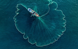 Mặt biển Nhơn Lý như nở hoa sau cú bung chài điệu nghệ