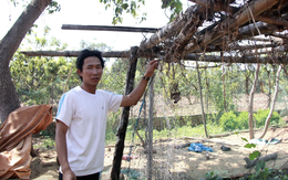 Giáo viên thắng kiện khốn khổ chờ bồi thường suốt 3 năm