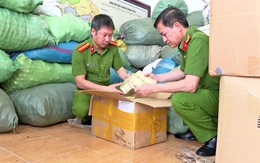 Thủ tướng: Đẩy nhanh điều tra, không bỏ lọt vi phạm liên quan đến sữa giả, thuốc giả