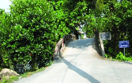 Nghĩ về tên xứ sở từ một cây cầu gần nhà