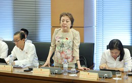 Đại biểu Quốc hội: Không đồng tình bỏ tử hình tội làm thuốc giả vì khác gì giết người hàng loạt