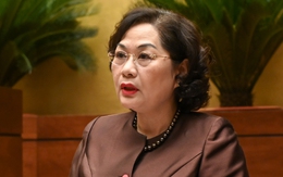 Đề xuất Ngân hàng Nhà nước quyết cho vay đặc biệt không có tài sản đảm bảo, lãi suất 0%