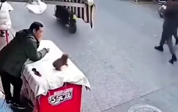 Chú chó ăn vạ người đi đường